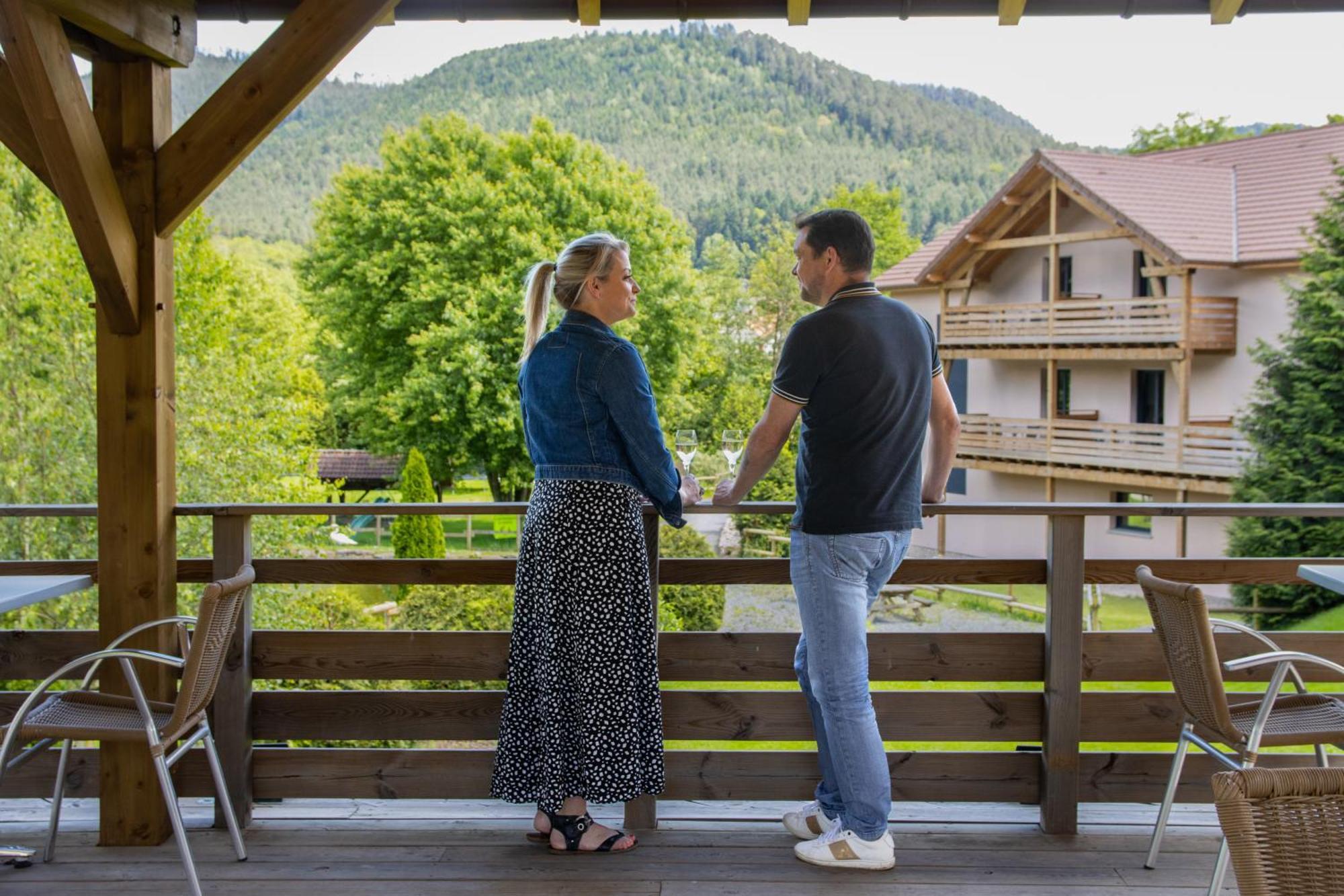Logis Hotel Le Regal & Spa Saint-Die-des-Vosges المظهر الخارجي الصورة