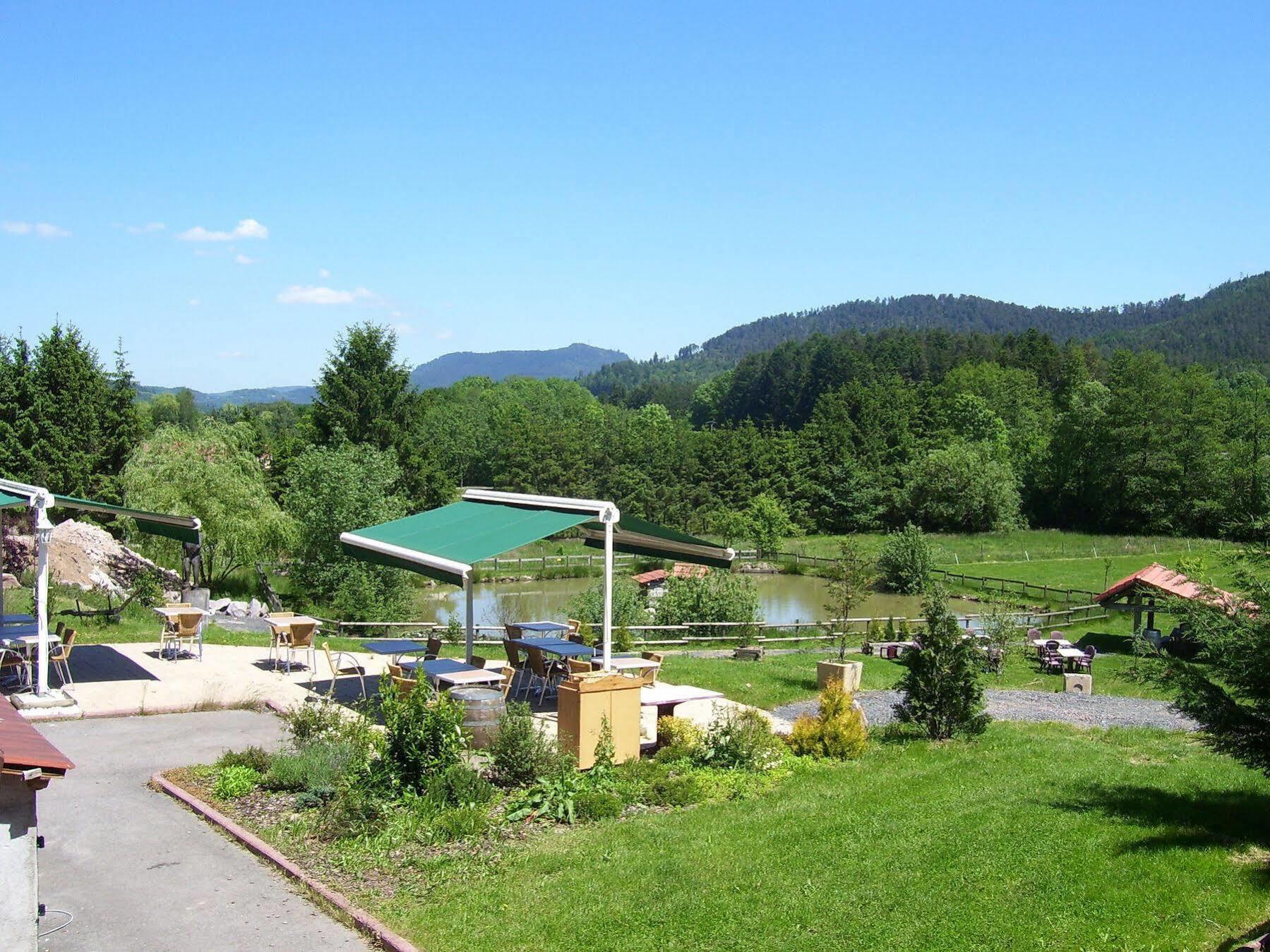 Logis Hotel Le Regal & Spa Saint-Die-des-Vosges المظهر الخارجي الصورة